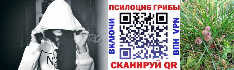Галлюциногенные грибы мухоморы Новоржев