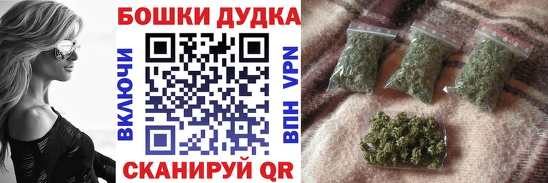 Конопля гибрид  Новоржев 